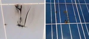 Cháy nổ pv do lắp đặt và sử dụng không phù hợp